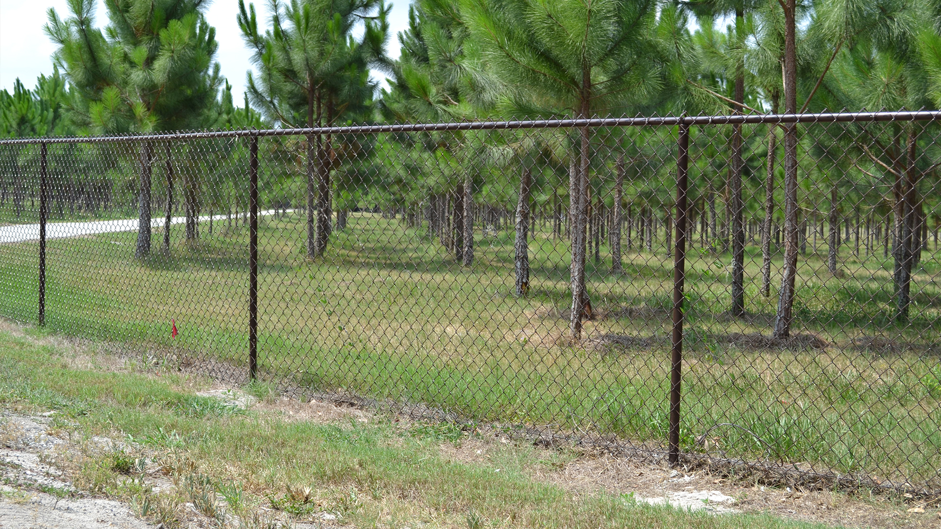 Chain Link Fence